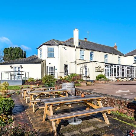 فندق Cockhaven Arms Bishopsteignton المظهر الخارجي الصورة